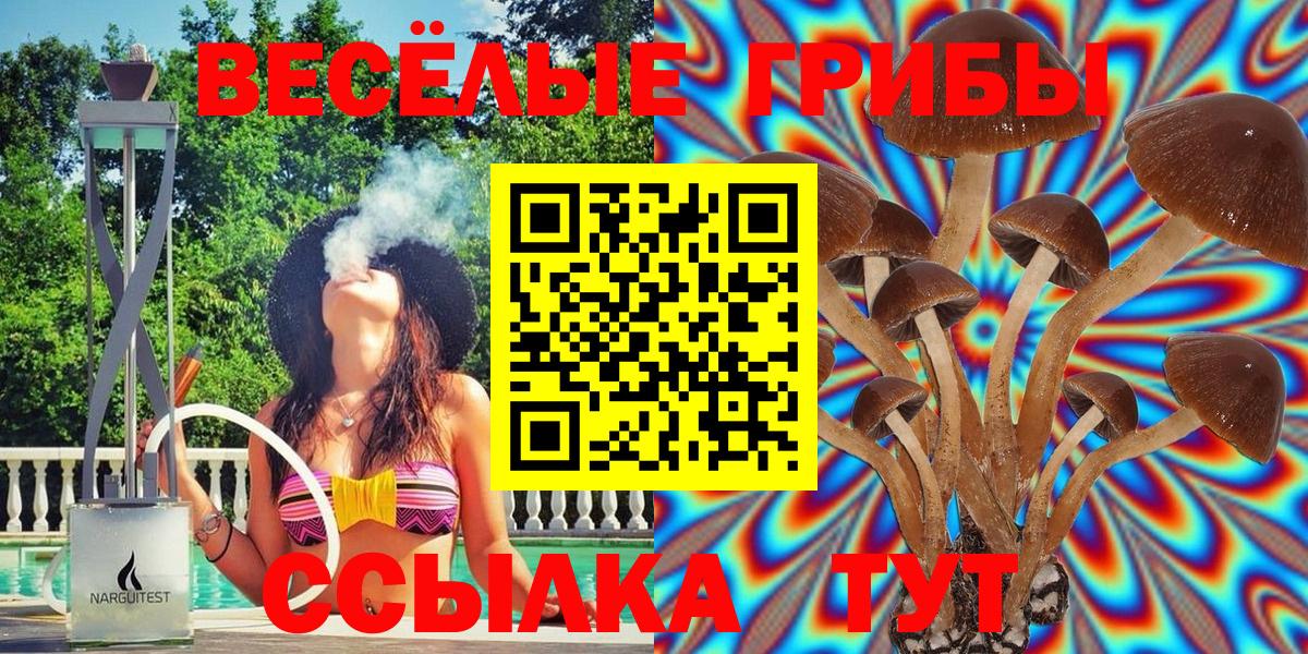 Псилоцибиновые грибы ЛСД Великий Устюг