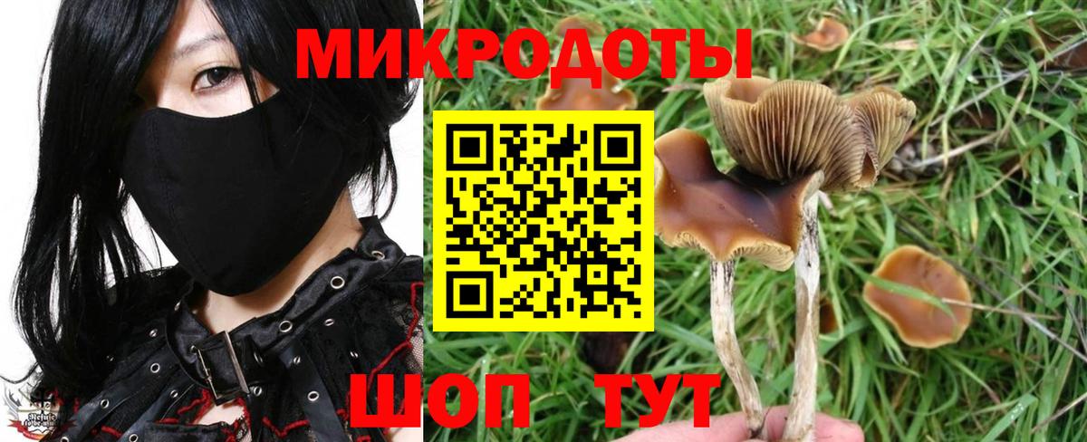 Великий Устюг  Галлюциногенные грибы ЛСД  Галлюциногенные грибы MAGIC MUSHROOMS  Вход с VPN 